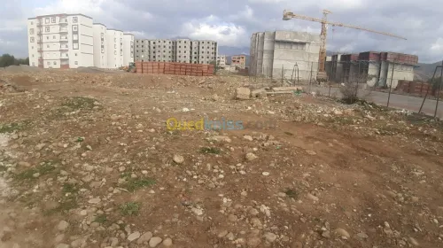 Vente Terrain Bouira Mchedallah