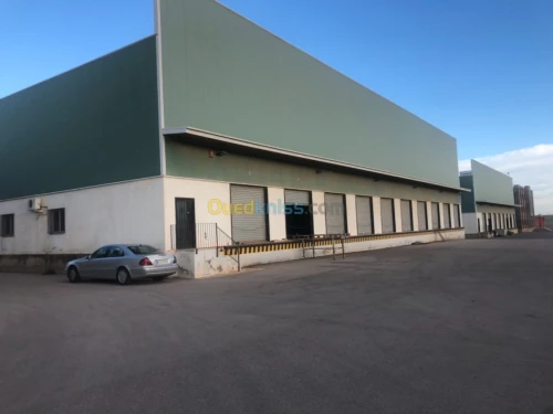 Location Hangar Alger Rouiba