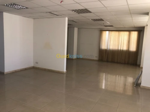 Location Hangar Alger Rouiba