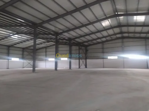 Location Hangar Alger Rouiba