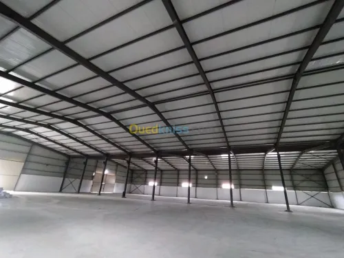 Location Hangar Alger Rouiba