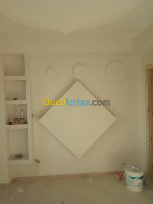 Faux plafond placo platre et pvc 