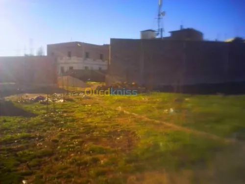 Vente Terrain Tlemcen Tirni beni hediel