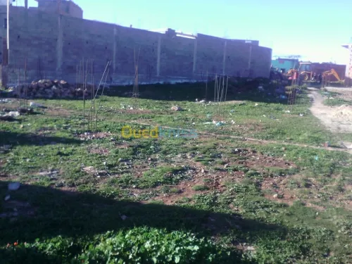 Vente Terrain Tlemcen Tirni beni hediel