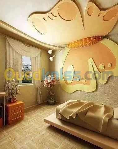 placoplatre décoration 