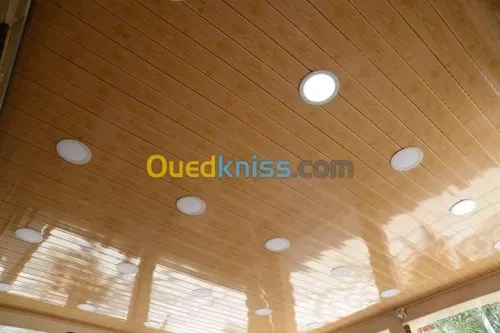 ديكورات بلاكو بلاطر DECOR PLACO PLATR 