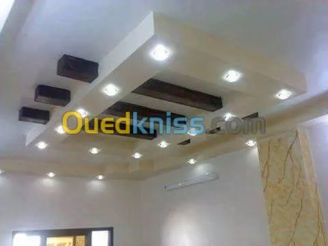 ديكورات بلاكو بلاطر DECOR PLACO PLATR 