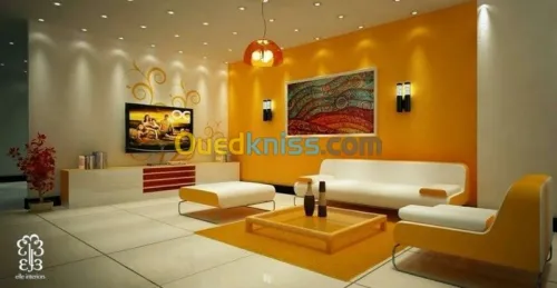 ديكورات بلاكو بلاطر DECOR PLACO PLATR 