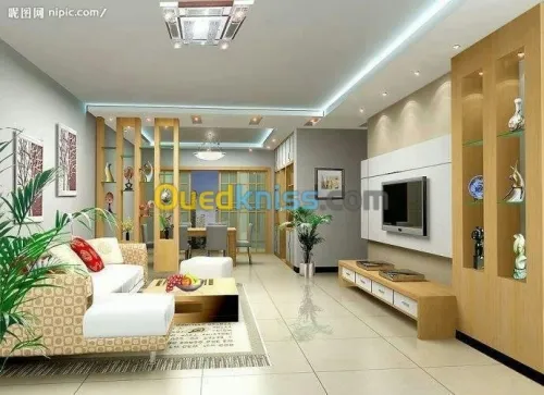 ديكورات بلاكو بلاطر DECOR PLACO PLATR 