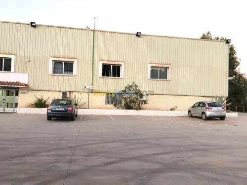 Location Hangar Alger Bab ezzouar
