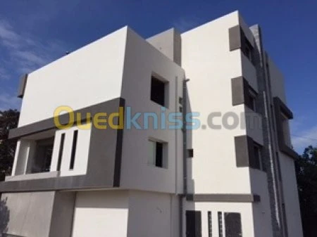 TRAITEMENT DE FACADE  