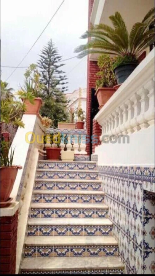Location Villa Alger El biar