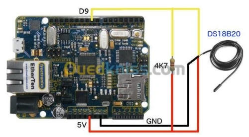 DS18B20 CAPTEUR Temperature  arduino