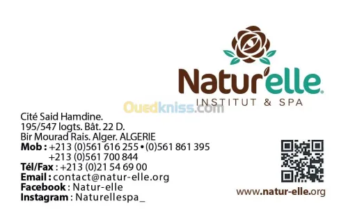 infographe freelance