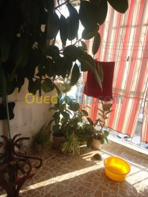 Echange bien immobilier Bejaia Bejaia