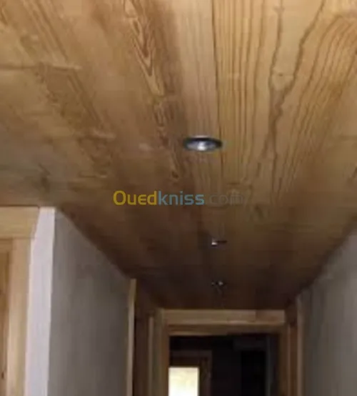 Décoration mûres et plafonds