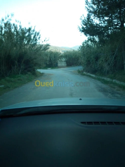 Vente Terrain Boumerdes Zemmouri