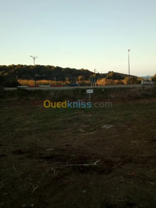 Vente Terrain Boumerdes Zemmouri