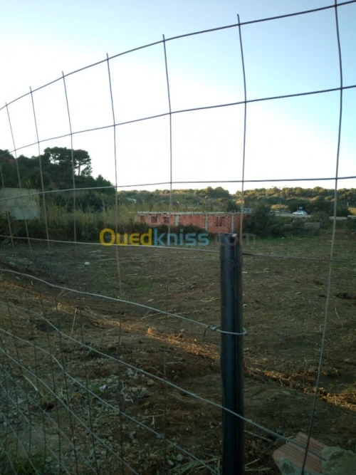 Vente Terrain Boumerdes Zemmouri