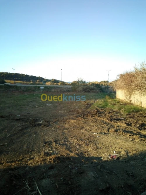 Vente Terrain Boumerdes Zemmouri