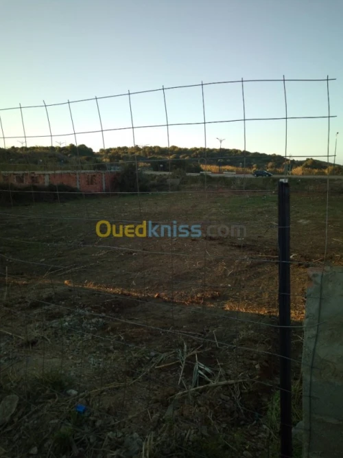 Vente Terrain Boumerdes Zemmouri