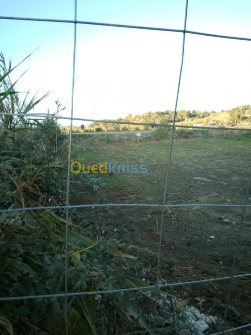 Vente Terrain Boumerdes Zemmouri