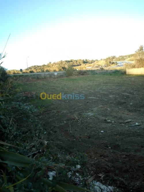 Vente Terrain Boumerdes Zemmouri