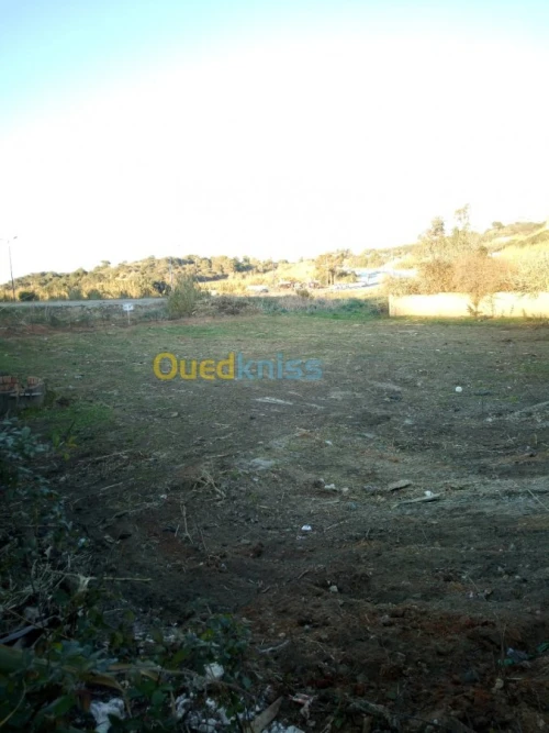 Vente Terrain Boumerdes Zemmouri