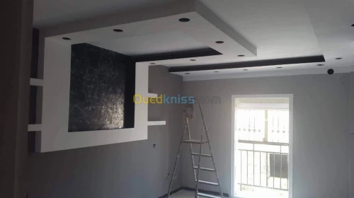 Placo platre _ pvc _ mdf 