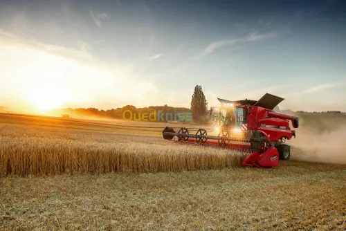 joints en caoutchouc