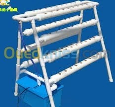 hydroponie hydropnique