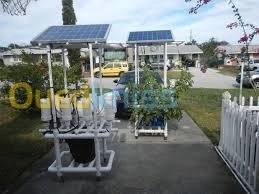 hydroponie hydropnique