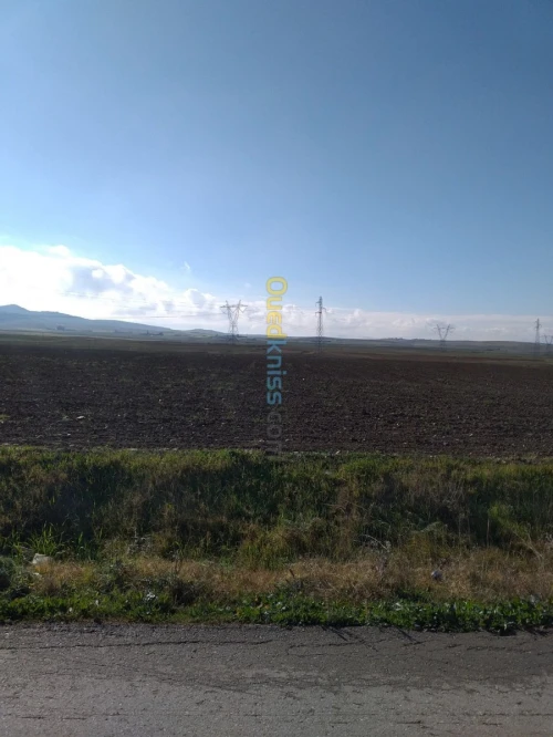 Vente Terrain Agricole Mila Chelghoum laid