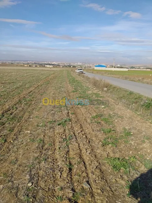 Vente Terrain Agricole Mila Chelghoum laid