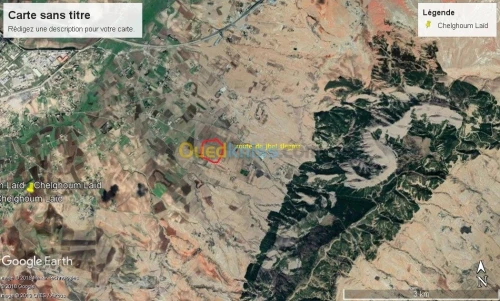 Vente Terrain Agricole Mila Chelghoum laid