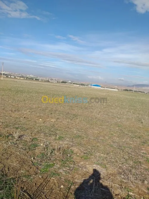 Vente Terrain Agricole Mila Chelghoum laid