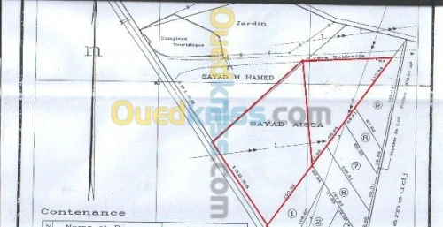 Vente Terrain Tebessa Bekkaria 
