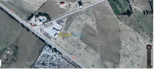 Vente Terrain Tebessa Bekkaria 