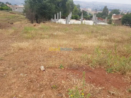Echange Terrain Boumerdes Boudouaou