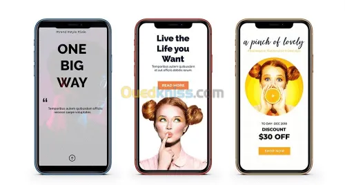Web developement - app developement