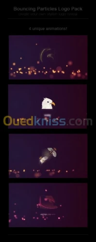 photographe & montage video