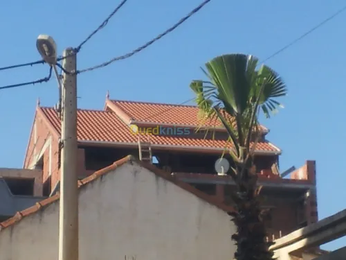  charpente en bois