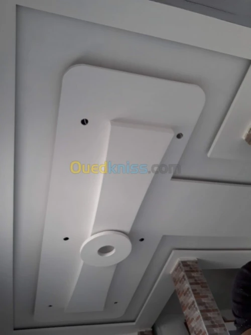 Placoplatre / penture /electricitè