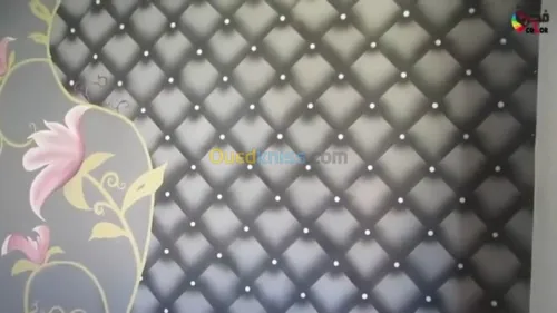 Placoplatre / penture /electricitè