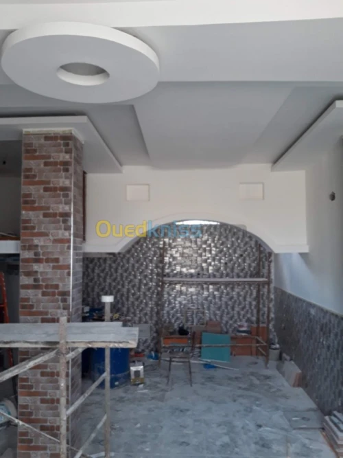 Placoplatre / penture /electricitè