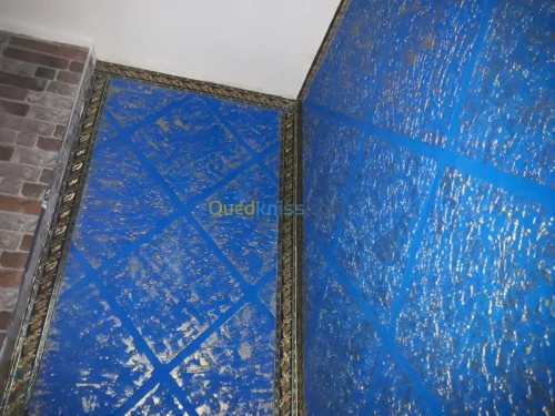 Placoplatre / penture /electricitè