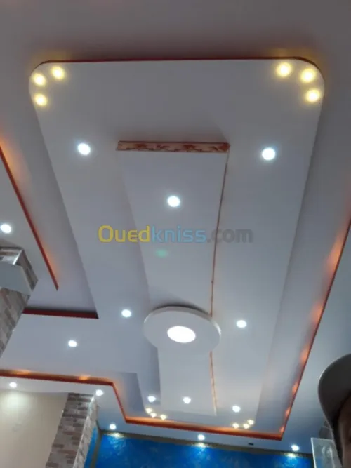 Placoplatre / penture /electricitè