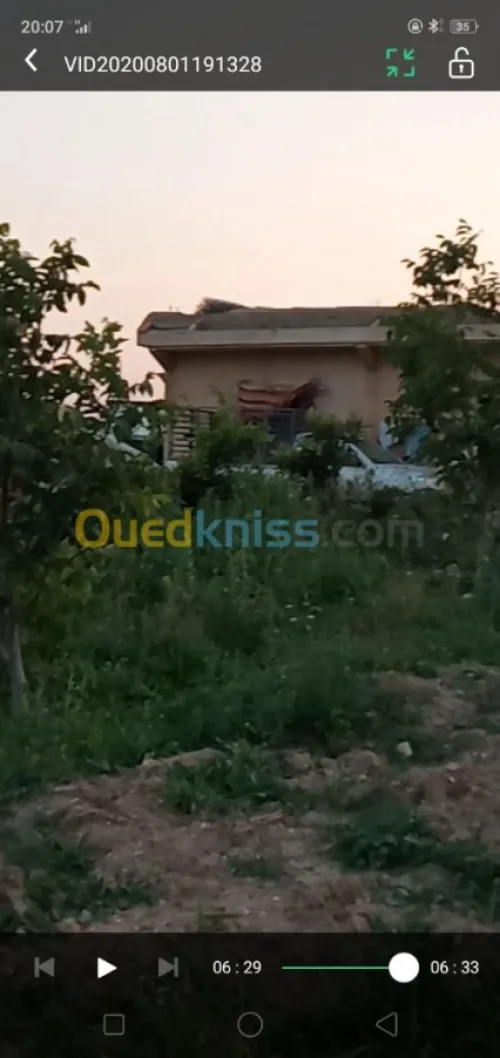 Vente Terrain Agricole Khenchela Ensigha