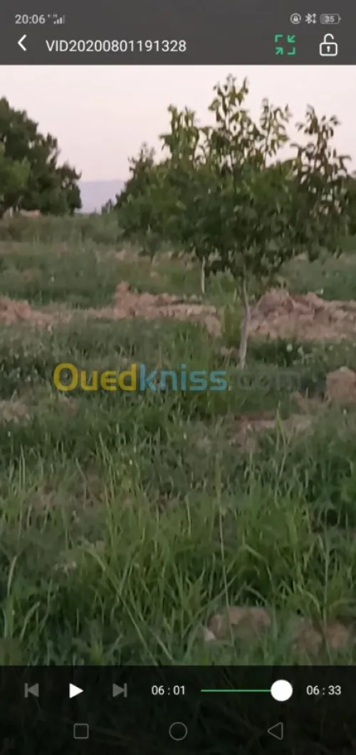 Vente Terrain Agricole Khenchela Ensigha