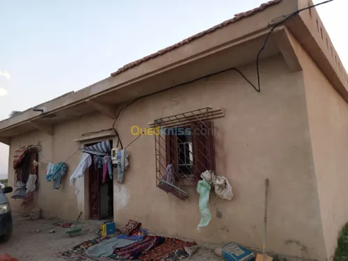 Vente Terrain Agricole Khenchela Ensigha